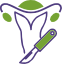 Pelvic and Reconstructive Surgeries